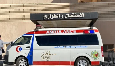 مصرع ربة منزل سقطت من الطابق الثالث بقرية البلابيش المستجدة بدار السلام بسوهاج