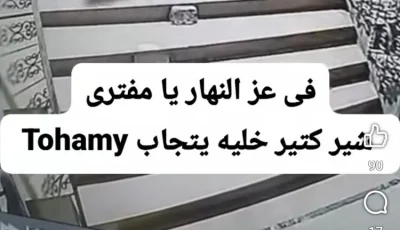 خلع باب “الأسانسير”.. لص يسرق باب مصعد في الإسكندرية ويفر هاربًا
