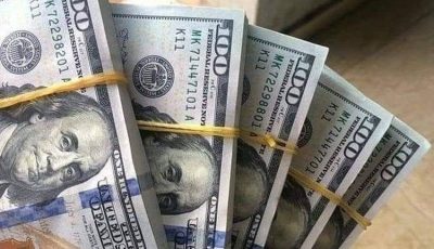 استقرار سعر الدولار أمام الجنيه المصري في البنوك اليوم