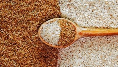 سعر طن الأرز الشعير اليوم الثلاثاء 16 سبتمبر 2025