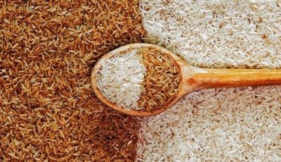 سعر طن الأرز الشعير في الأسواق اليوم الجمعة 26 سبتمبر 2025