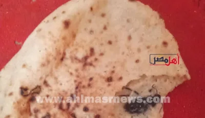 الرقابة معدومة .. خبز بالحشرات في مخبز بقوص تثير غضب الأهالي في قنا