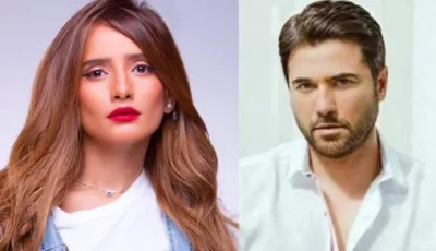 قرار جديد من محكمة الأسرة بشأن دعوى زينة ضد أحمد عز