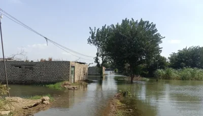 “مستقبل وطن” يتكفل بتسكين متضرري غرق أراضي طرح النهر بالمنوفية: من بكرة الصبح هنكون عندهم