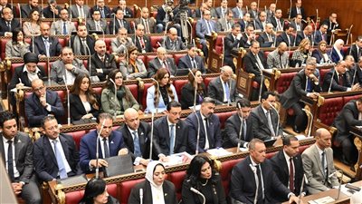 تحت قبة الشيوخ.. تحذيرات برلمانية من خطر ورد النيل والتغيرات المناخية على المياه والزراعة