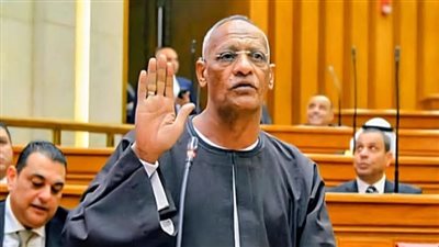 النائب مدحت ركابي يتقدم بطلب إحاطة بشأن تدني مستوى الخدمات الصحية ونقص الكوادر والتجهيزات الطبية بمحافظة أسوان