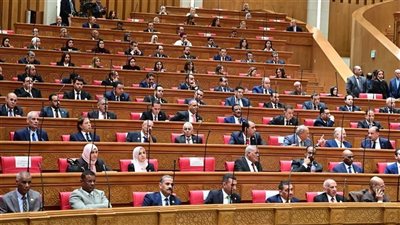 شباب النواب توافق نهائيا على تعديلات قانون المهن الرياضية