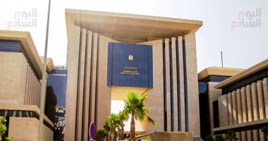 رقمنة الخدمات القنصلية تحقق طفرة فى إصدار جوازات السفر للمصريين بالخارج