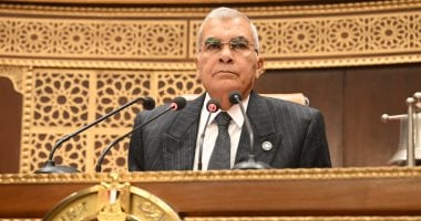 مجلس الشيوخ يرفع الجلسة العامة ويعود للانعقاد 1 فبراير المقبل