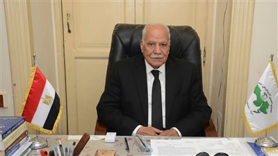 السياسة المصرية الثابتة تحافظ على الأمن والاستقرار وتدعم مصالح الوطن العليا