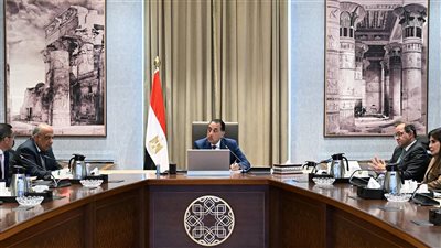 رئيس الوزراء يتابع الموقف التنفيذي للمشروعات في قطاع الطاقة.. وجهود جذب المزيد من الاستثمارات لهذا القطاع الحيوي