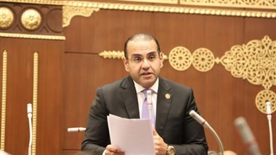 اختيار النائب محمد مجد الدين المنزلاوي عضوًا بلجنة القيم بمجلس الشيوخ