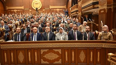 المستشار عصام فريد يعلن اختيار النائب ناجي حلمي فؤاد عضوا بالجنة القيم