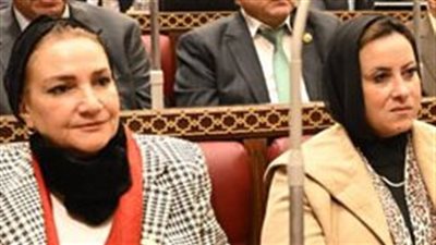 النائبة رانية عز الدين عضوًا بلجنة القيم خلال دور الانعقاد الأول بمجلس الشيوخ