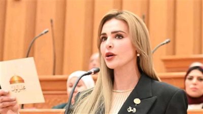 النائبة مروة حسين بوريص تقدم طلب إحاطة بشأن تأخير وتشغيل مستشفى رأس غارب المركزي