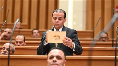 قمة السيسي وترامب عكست التزام مصر بدعم الاستقرار الإقليمي والعلاقات المتينة مع واشنطن