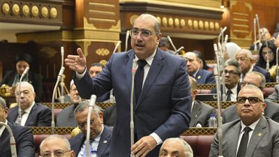 رئيس برلمانية الشعب الجمهوري بالشيوخ يطالب الحكومة بوضع خطة للاستفادة من ورد النيل في صناعة السماد