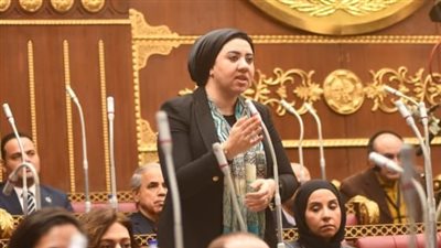 التغيرات المناخية كارثة تهدد مصر والعالم.. ونواجه فجوة تشريعية وغياب التنسيق الحكومي