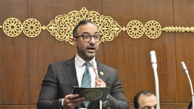 الحمامصي يطالب الحكومة بتوضيح خطتها لتنفيذ الاستراتيجية الوطنية لمواجهة التغيرات المناخية 2050