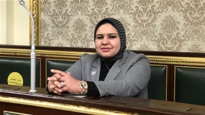 نفاد باقات الإنترنت المنزلي عبء على المواطن ويحتاج شفافية ورقابة فعالة