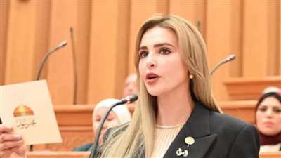 النائبة مروة بوريص توجه سؤال إلى الحكومة بشأن العائد الحقيقي للمشروعات الاستثمارية