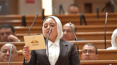 ريهام عبد النبي تتقدم بطلب إحاطة بشأن إلغاء قطارات VIP على خط (القاهرة – أسوان) واستبدالها بقطارات روسية