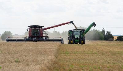 مناقصة سعودية ترفع سعر القمح الأوروبي.. ومنافسة أرجنتينية في شمال أفريقيا