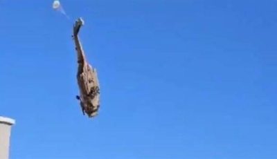 سقوط مروحية إسرائيلية خلال نقلها في الضفة الغربية