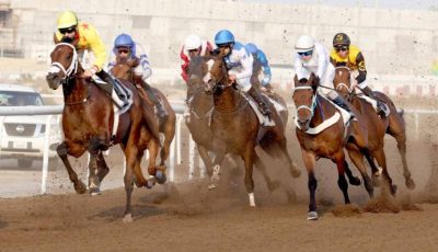 95 جواداً تتنافس في السباق السابع بمضمار جبل علي