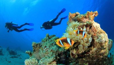 الغوص يسهم بـ 80% من عوائد السياحة المصرية