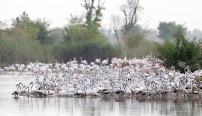 «كوندي ناست»تقترح لقرائها وجهات تخييم في الإمارات