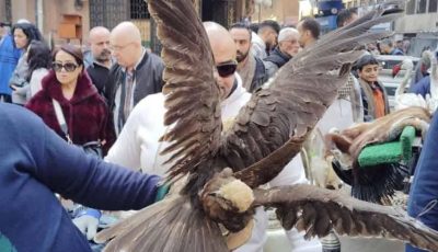 «البيئة المصرية» تشن حملة ضد الاتجار غير المشروع بالحيوانات