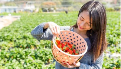 10.2 مليار دولار صادرات كوريا الجنوبية الزراعية والغذائية