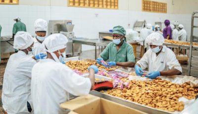 الاستثمار في صغار المزارعين فرصة استثمارية حاسمة