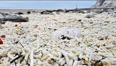 شاطئ من أصابع البطاطا في بريطانيا