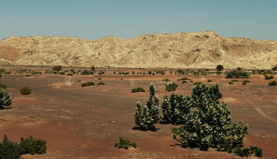 الشارقة تفتح باب الترشح لـ«منحة الفاية للبحوث» بإجمالي مليوني درهم