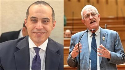 جدال متكرر بين النائب عاطف مغاوري والوزير محمود فوزي بمجلس النواب