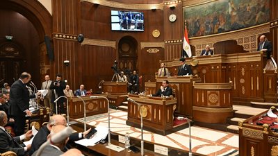 لا يتجاوز أصل الدين.. الشيوخ يقر تحديد سقف مقابل التأخير على الضريبة العقارية