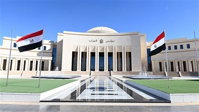 أزمة الإنترنت المنزلي في مصر.. تحركات برلمانية لحماية المستهلك