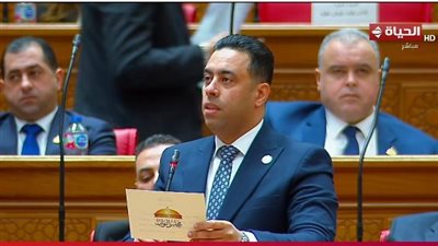 فارق 150 مليون دولار.. النائب أحمد فرغلي يتقدم بطلب إحاطة إلى وزير التموين بشأن استيراد السلع بأسعار مرتفعة