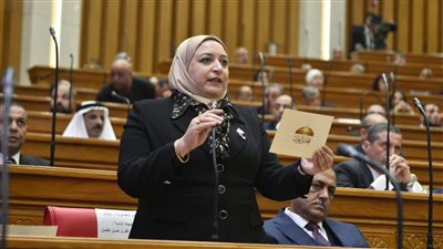 من المسؤول عن احتجاز سيارات ذوي الإعاقة رهائن في الموانئ رغم استيفاء الأوراق