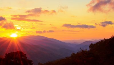 17 يناير في ذاكرة الوطن | ابن الديرة
